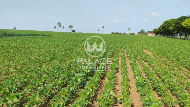 Imagens do imóveis fazenda à venda em centro, avaré 4 quartos 919600m²