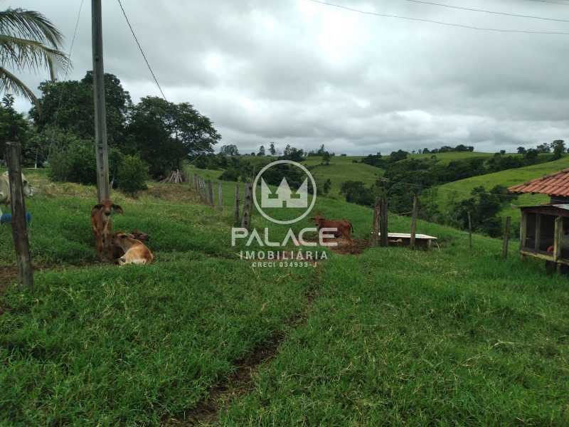 Imagens do imóveis sítio à venda em área rural, tietê 3 quartos 121000m²