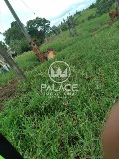 Imagens do imóveis sítio à venda em área rural, tietê 3 quartos 121000m²