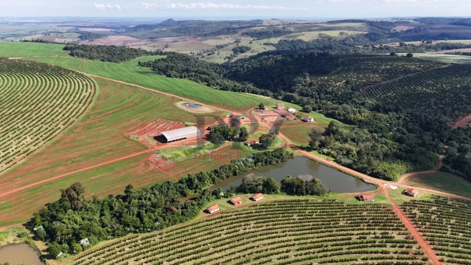 Imagens do imóveis EXCELENTE FAZENDA À VENDA NA REGIÃO DE AVARÉ-SP