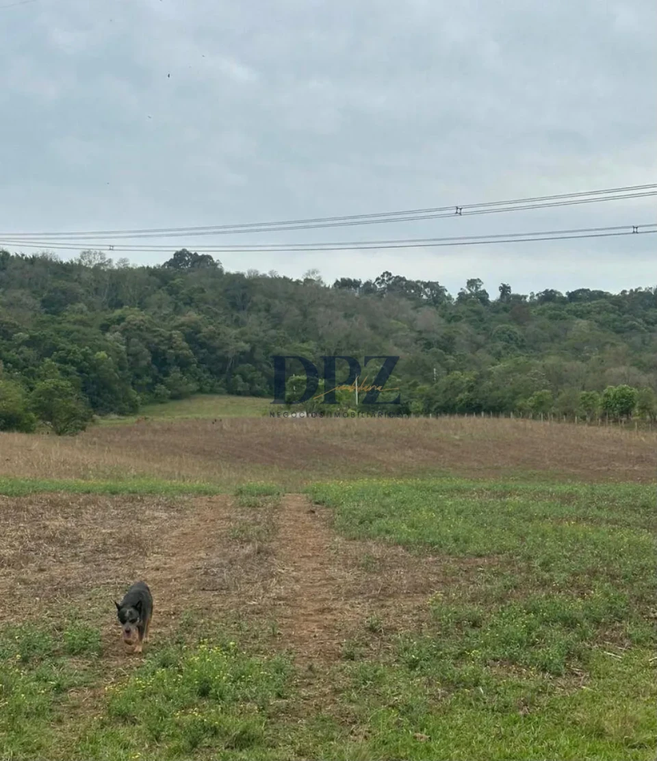 Imagens do imóveis TERRENO BAIRRO MATO SECO - ITAPETININGA/SP