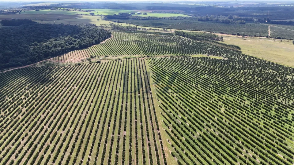 Imagens do imóveis EXCELENTE FAZENDA À VENDA NA REGIÃO DE AVARÉ-SP