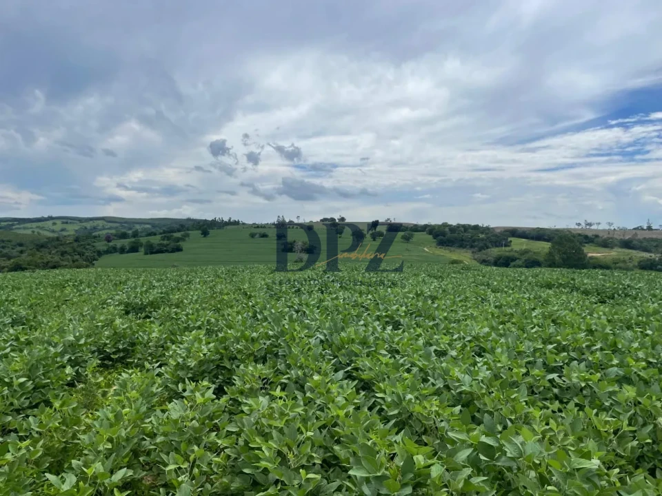 Imagens do imóveis Excelente Fazenda À Venda em Angatuba-SP