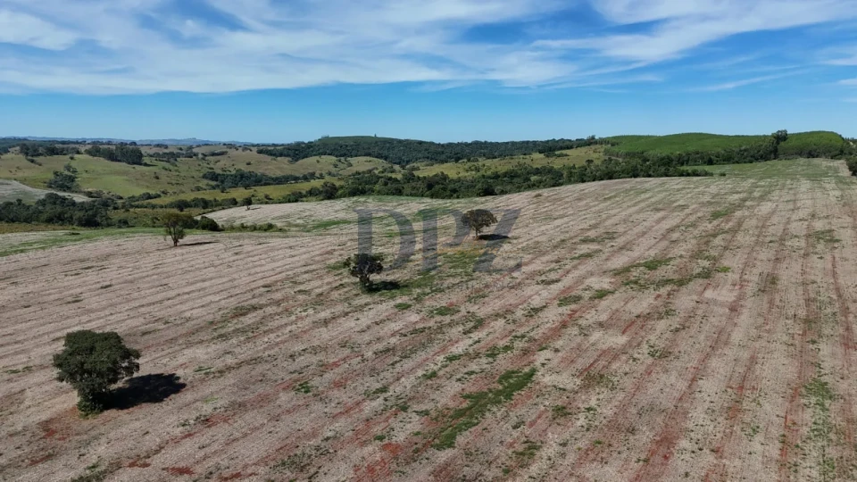 Fazenda À Venda em Angatuba/SP