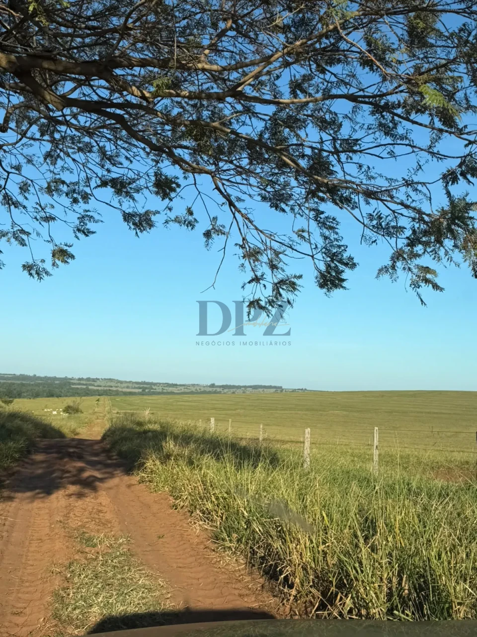 Imagens do imóveis Fazenda À Venda Área Rural De Teodoro Sampaio Teodoro Sampaio