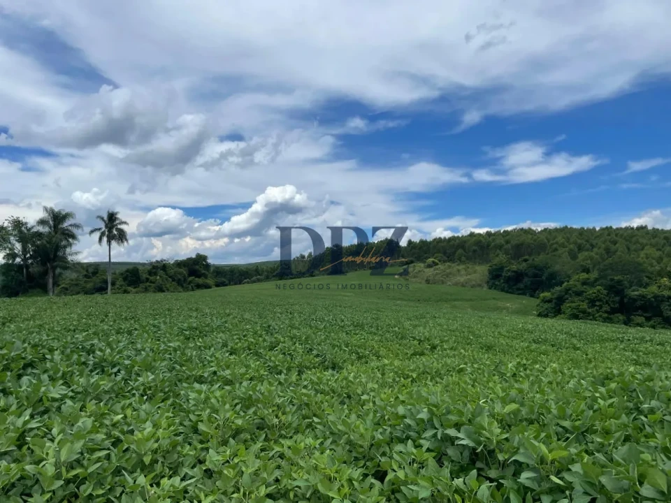 Imagens do imóveis Excelente Fazenda À Venda em Angatuba-SP