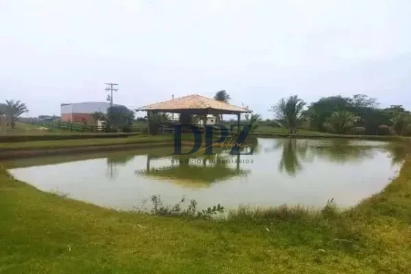 Imagens do imóveis EXCELENTE FAZENDA COM PISTA DE POUSO A VENDA NA REGIÃO DE PRESIDENTE-SP