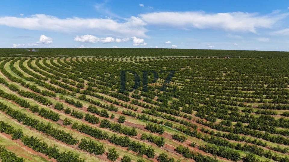 Imagens do imóveis EXCELENTE FAZENDA À VENDA NA REGIÃO DE AVARÉ-SP