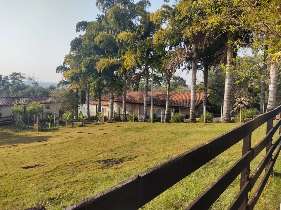 Fazenda/Sítios/Chácaras À Venda Ribeirãozinho Alambari