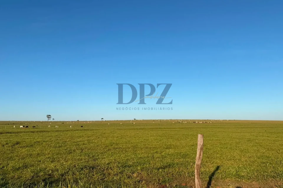 Imagens do imóveis Fazenda À Venda Área Rural De Teodoro Sampaio Teodoro Sampaio