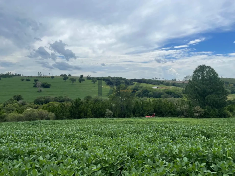 Imagens do imóveis Excelente Fazenda À Venda em Angatuba-SP