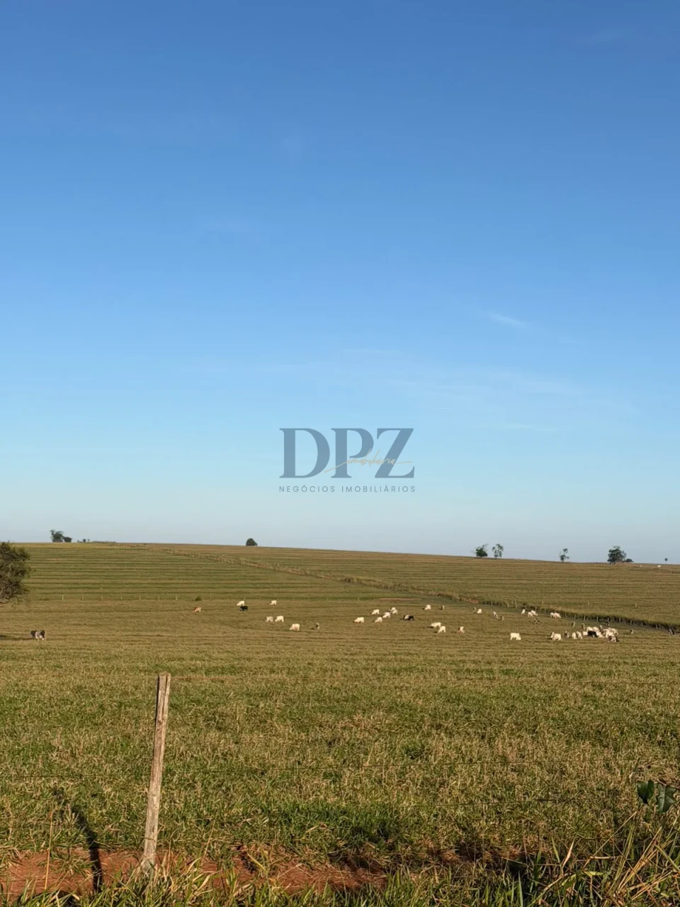 Imagens do imóveis Fazenda À Venda Área Rural De Teodoro Sampaio Teodoro Sampaio