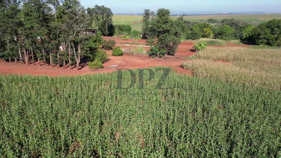 Imagens do imóveis EXCELENTE FAZENDA À VENDA EM SERTANEJA-PR
