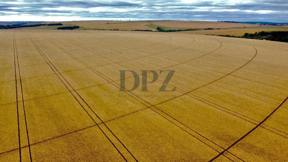 Imagens do imóveis MARAVILHOSA FAZENDA À VENDA – ITABERÁ/SP .