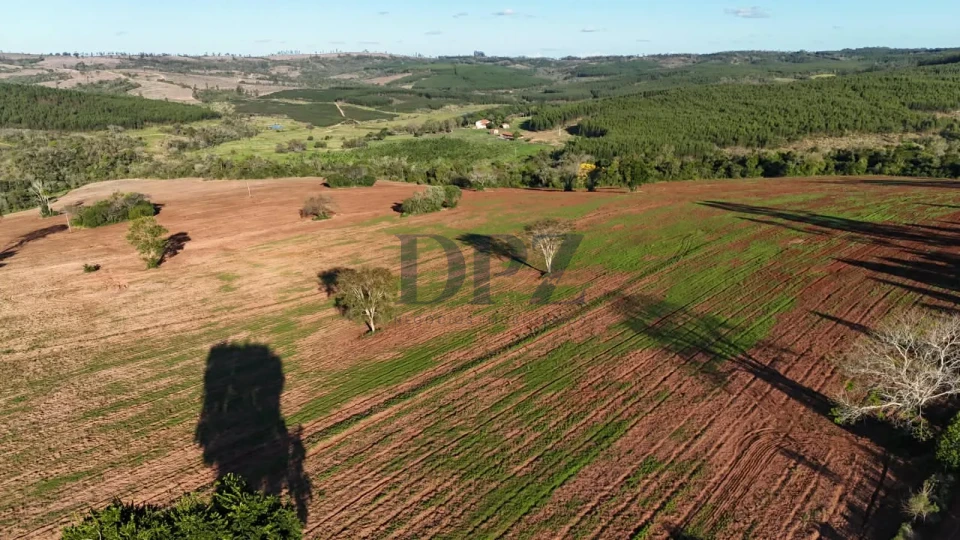 Imagens do imóveis Excelente Fazenda À Venda em Angatuba-SP