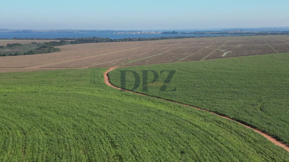 Imagens do imóveis EXCELENTE FAZENDA À VENDA EM SERTANEJA-PR