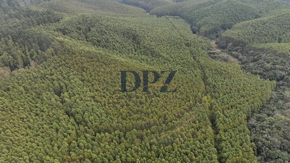 EXCELENTE FAZENDA COM EUCALIPTO A VENDA NA REGIÃO DE ITAPEVA-SP