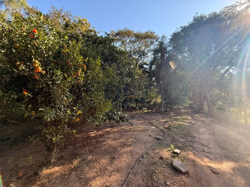 Chácara a venda no Bairro Porto Velho - Com casa de morada
