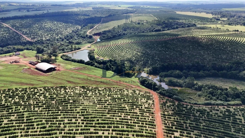 Imagens do imóveis EXCELENTE FAZENDA À VENDA NA REGIÃO DE AVARÉ-SP