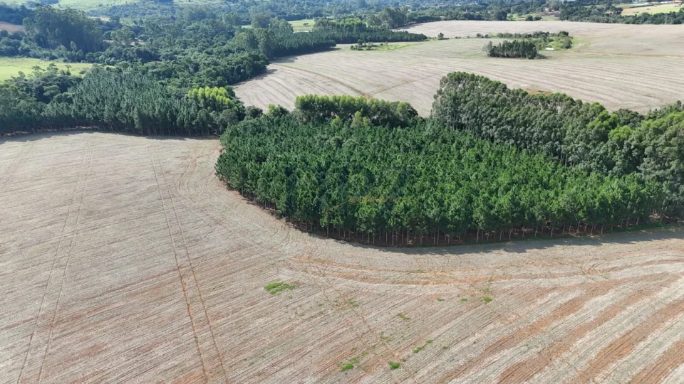 Imagens do imóveis EXCELENTE SÍTIO A VENDA EM ITAPETININGA/SP
