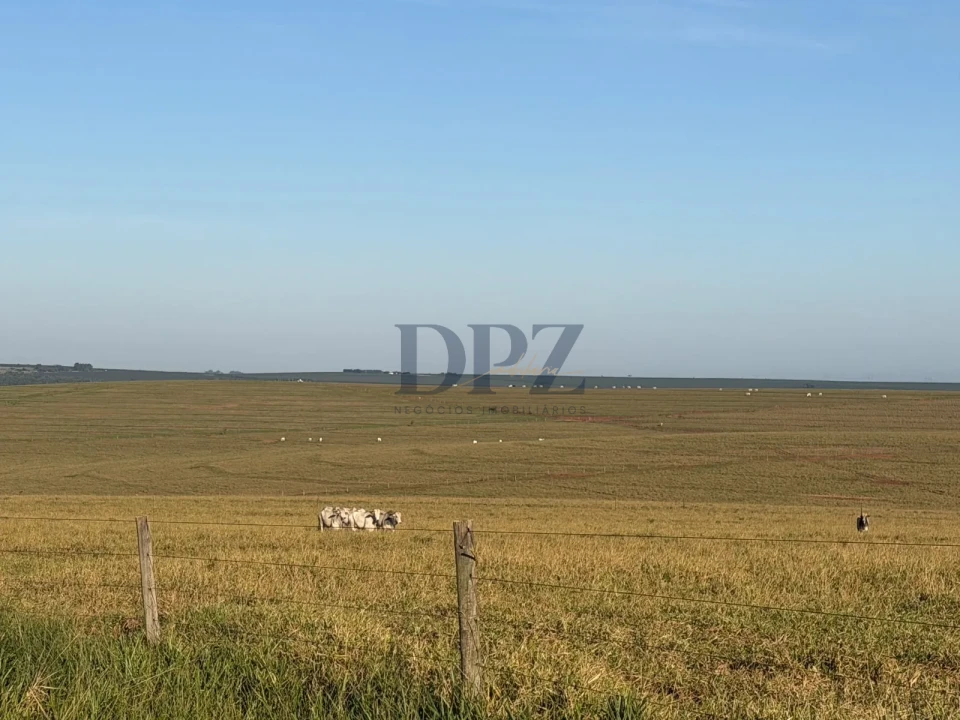 Imagens do imóveis Fazenda À Venda Área Rural De Teodoro Sampaio Teodoro Sampaio