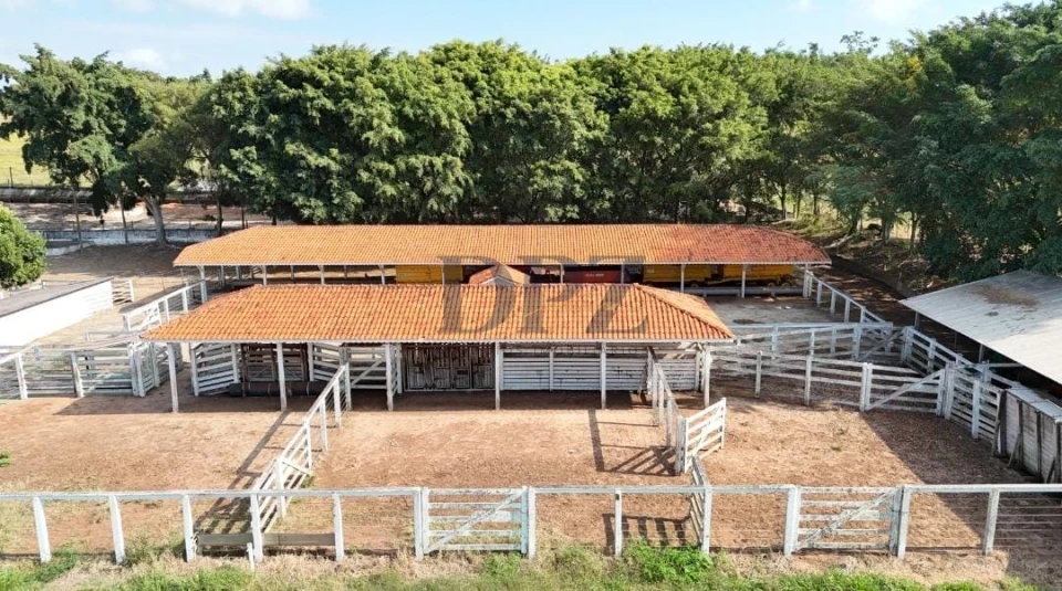 EXCELENTE FAZENDA LEITEIRA E PECUÁRIA A VENDA NA REGIÃO DE ITAPETININGA-SP