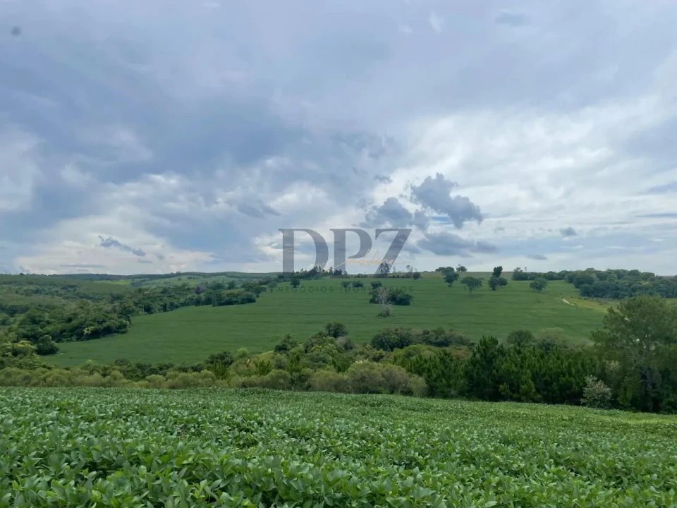 Imagens do imóveis Excelente Fazenda À Venda em Angatuba-SP