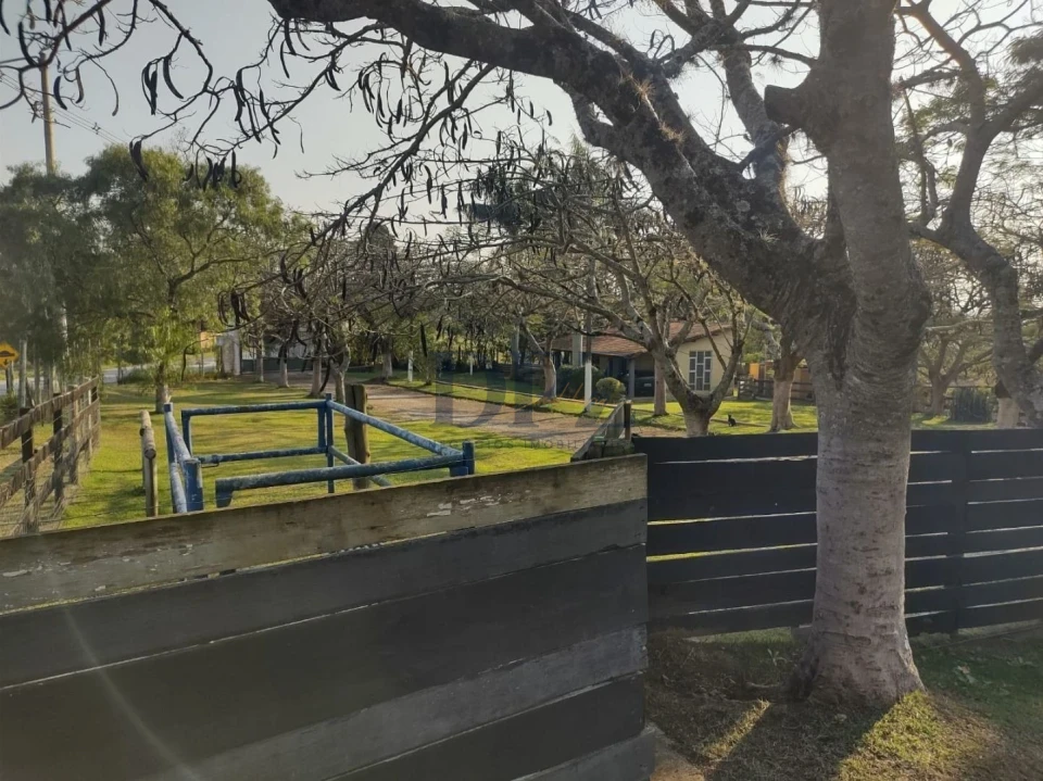 Fazenda/Sítios/Chácaras À Venda Ribeirãozinho Alambari