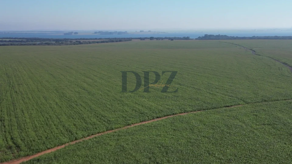 Imagens do imóveis EXCELENTE FAZENDA À VENDA EM SERTANEJA-PR