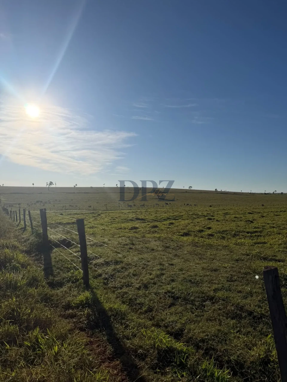 Imagens do imóveis Fazenda À Venda Área Rural De Teodoro Sampaio Teodoro Sampaio
