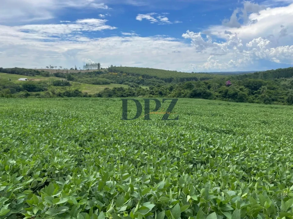 Imagens do imóveis Excelente Fazenda À Venda em Angatuba-SP