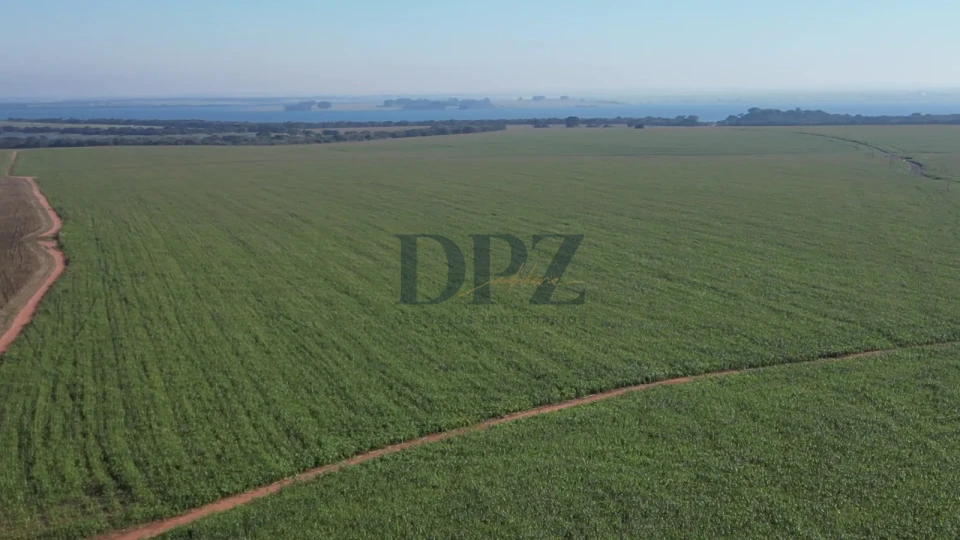 Imagens do imóveis EXCELENTE FAZENDA À VENDA EM SERTANEJA-PR