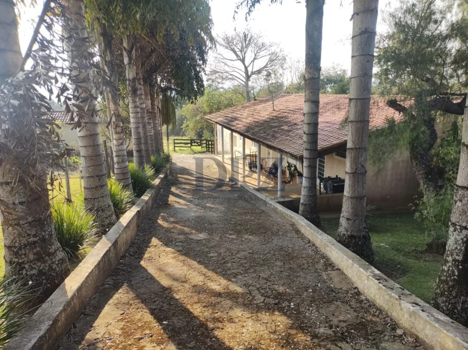 Fazenda/Sítios/Chácaras À Venda Ribeirãozinho Alambari