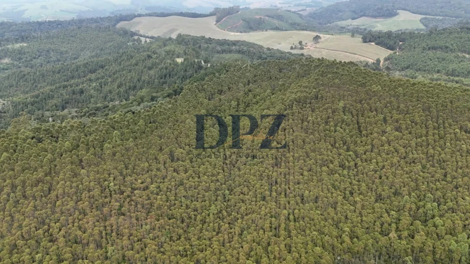 EXCELENTE FAZENDA COM EUCALIPTO A VENDA NA REGIÃO DE ITAPEVA-SP