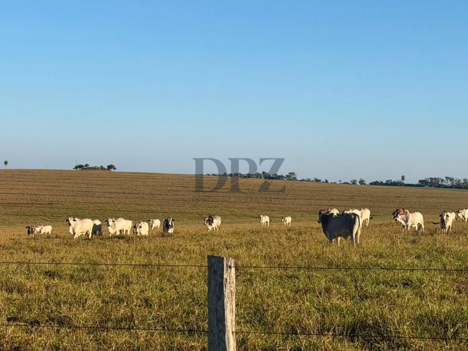 Imagens do imóveis Fazenda À Venda Área Rural De Teodoro Sampaio Teodoro Sampaio