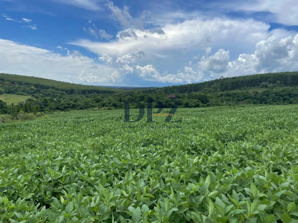 Imagens do imóveis Excelente Fazenda À Venda em Angatuba-SP