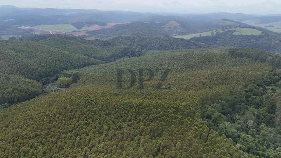 EXCELENTE FAZENDA COM EUCALIPTO A VENDA NA REGIÃO DE ITAPEVA-SP