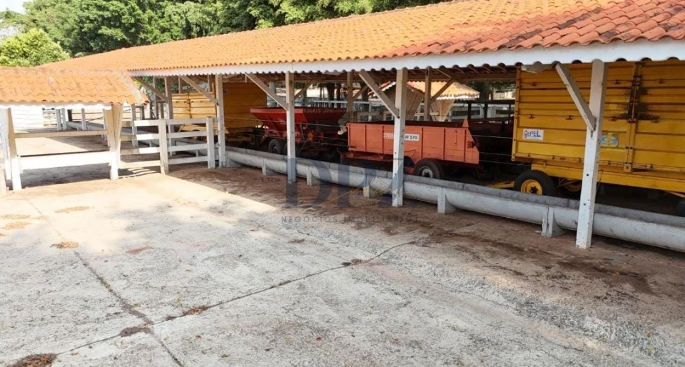 EXCELENTE FAZENDA LEITEIRA E PECUÁRIA A VENDA NA REGIÃO DE ITAPETININGA-SP