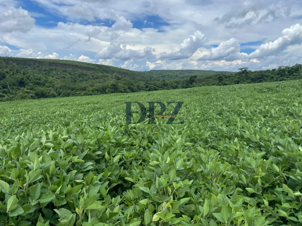 Imagens do imóveis Excelente Fazenda À Venda em Angatuba-SP
