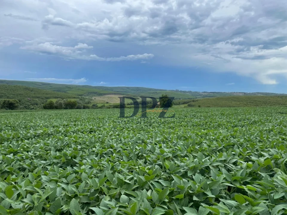 Imagens do imóveis Excelente Fazenda À Venda em Angatuba-SP