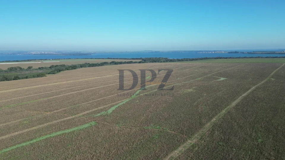 Imagens do imóveis EXCELENTE FAZENDA À VENDA EM SERTANEJA-PR
