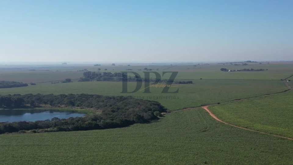 Imagens do imóveis EXCELENTE FAZENDA À VENDA EM SERTANEJA-PR