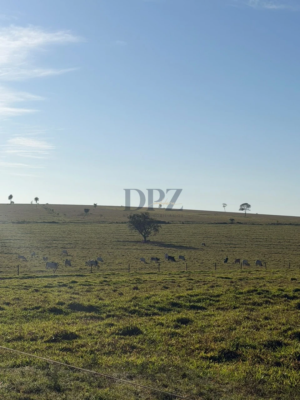 Imagens do imóveis Fazenda À Venda Área Rural De Teodoro Sampaio Teodoro Sampaio