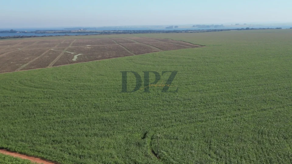 Imagens do imóveis EXCELENTE FAZENDA À VENDA EM SERTANEJA-PR