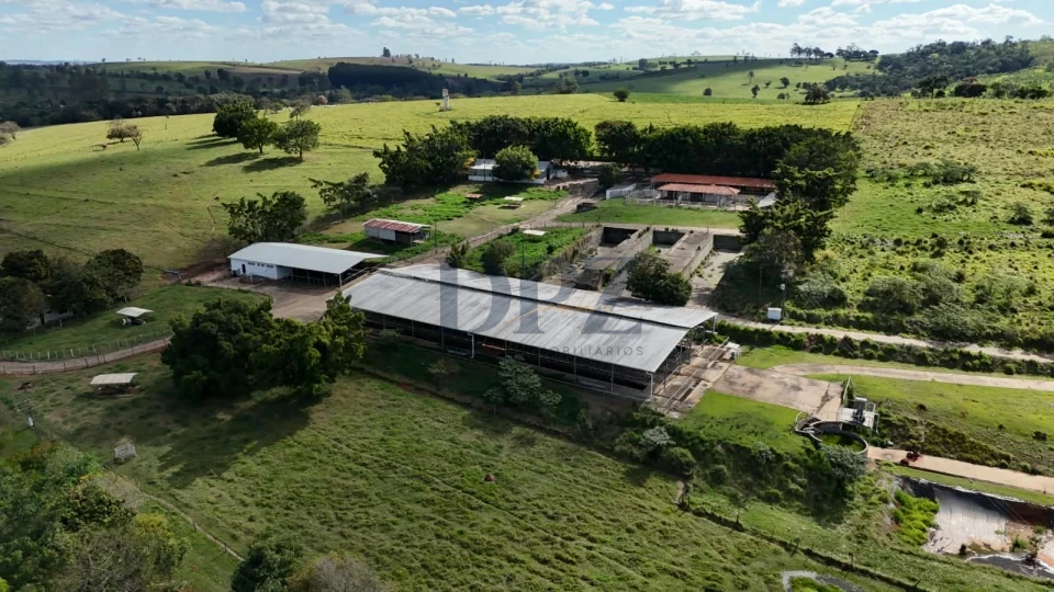 EXCELENTE FAZENDA LEITEIRA E PECUÁRIA A VENDA NA REGIÃO DE ITAPETININGA-SP