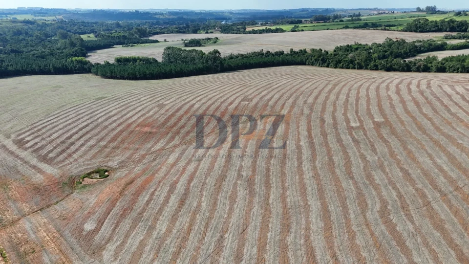 Imagens do imóveis EXCELENTE SÍTIO A VENDA EM ITAPETININGA/SP