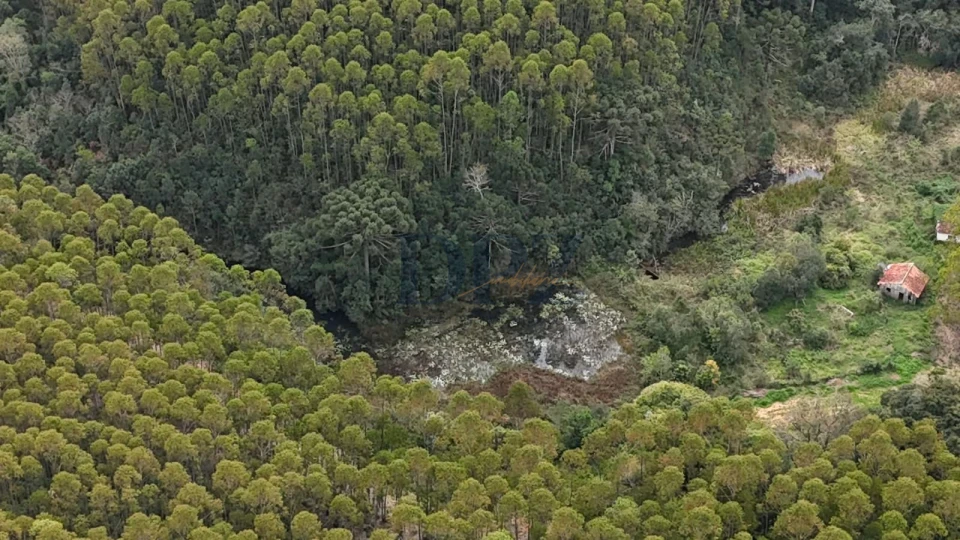 EXCELENTE FAZENDA COM EUCALIPTO A VENDA NA REGIÃO DE ITAPEVA-SP