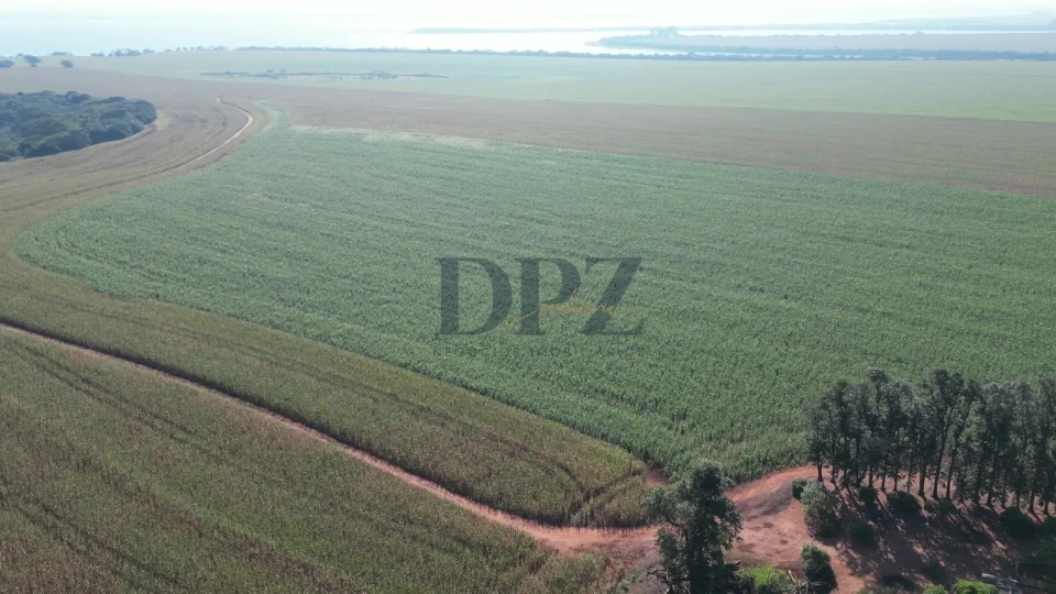 Imagens do imóveis EXCELENTE FAZENDA À VENDA EM SERTANEJA-PR