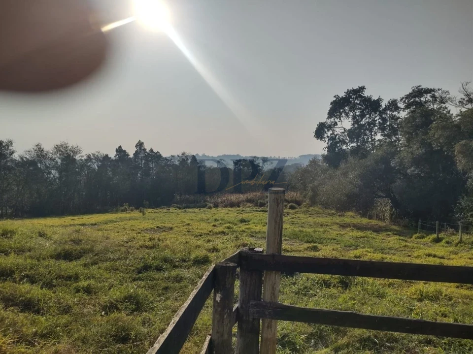 Fazenda/Sítios/Chácaras À Venda Ribeirãozinho Alambari