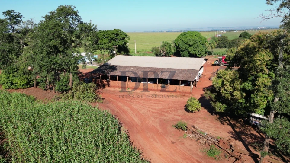 Imagens do imóveis EXCELENTE FAZENDA À VENDA EM SERTANEJA-PR
